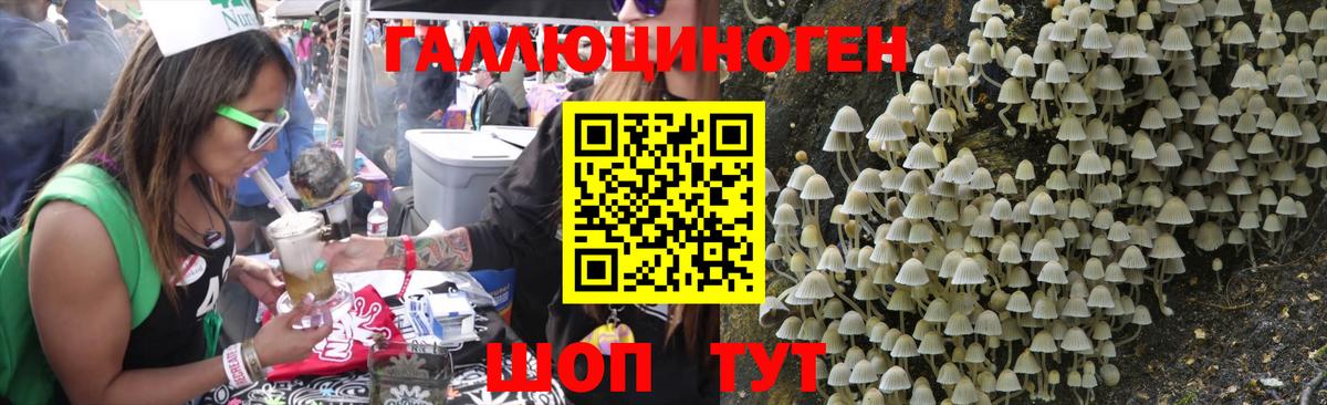 Галлюциногенные грибы Psilocybine cubensis Дзержинск
