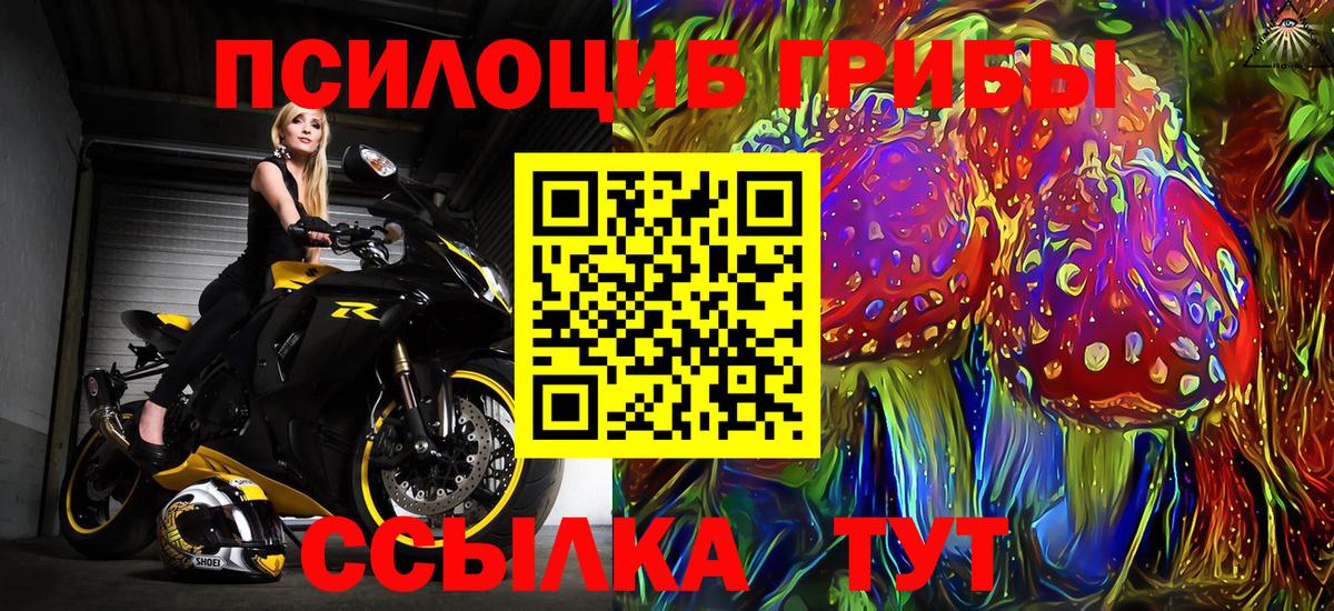 Дзержинск  Псилоцибиновые грибы мицелий  Вход с VPN  Галлюциногенные грибы Psilocybine cubensis 